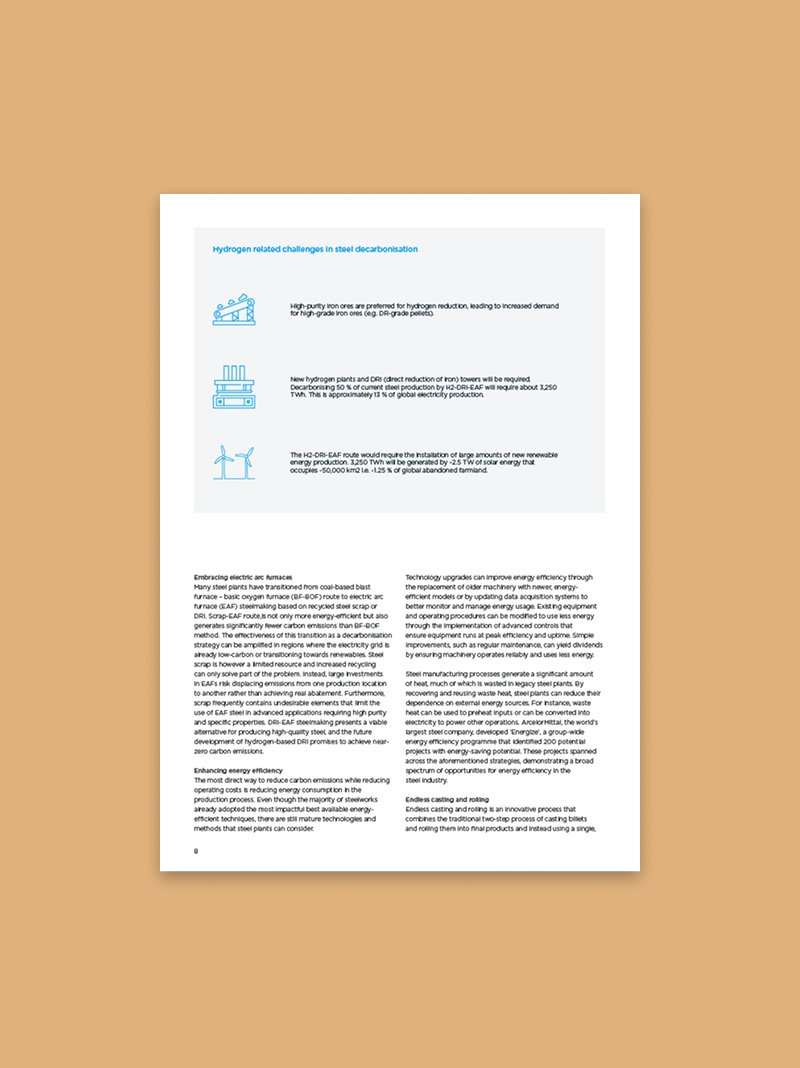 Decarbonisation imperatives in the steel sector: a roadmap for immediate action.
