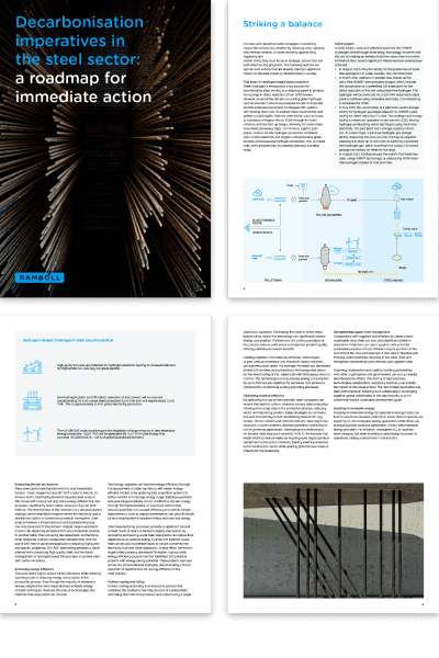 Decarbonisation imperatives in the steel sector: a roadmap for immediate action.