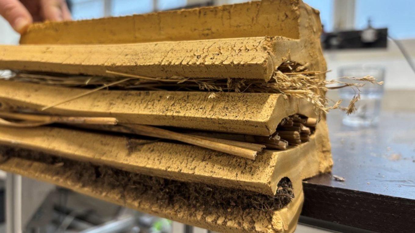 New International Partnership to Explore Wastewater Resources for the Built Environment